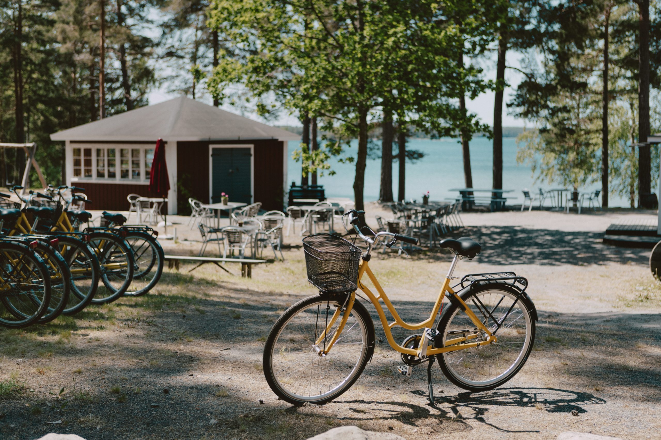 hasselo_sand_2023-12